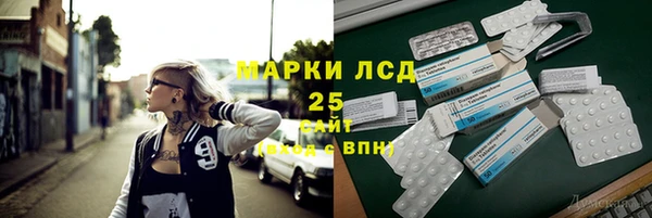 ПСИЛОЦИБИНОВЫЕ ГРИБЫ Балабаново