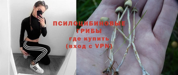 ПСИЛОЦИБИНОВЫЕ ГРИБЫ Балабаново