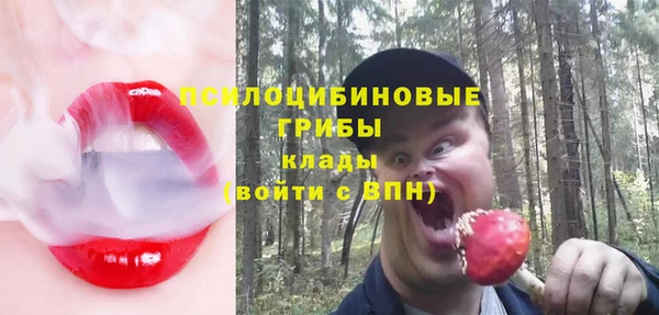 ПСИЛОЦИБИНОВЫЕ ГРИБЫ Балабаново